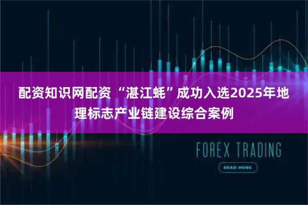 配资知识网配资 “湛江蚝”成功入选2025年地理标志产业链建设综合案例