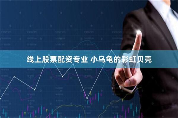 线上股票配资专业 小乌龟的彩虹贝壳